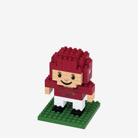 Arkansas Razorbacks