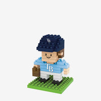 Tampa Bay Rays