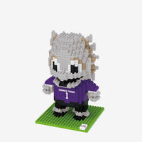 The Horned Frog TCU Horned Frogs Mascot