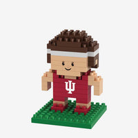 Indiana Hoosiers